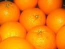 oranges