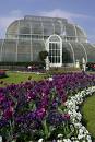 Real Botanical Garden of Kew