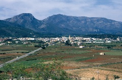 Jaln - Alicante